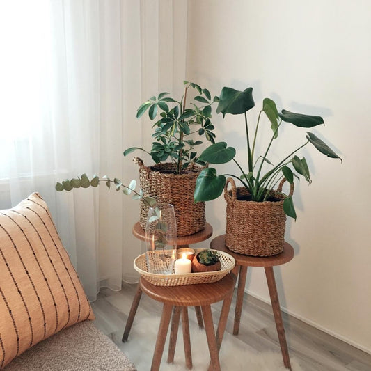 Conjugar un salón con la naturaleza? Sí, es posible.